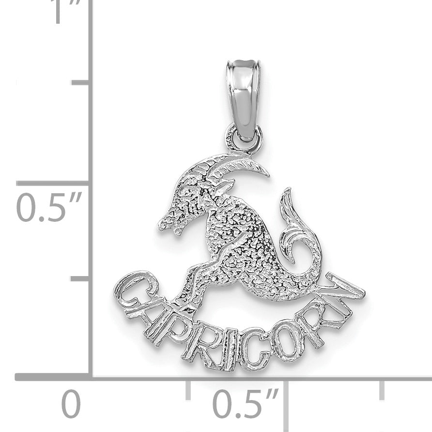 Encanto del Zodíaco CAPRICORNIO WG de 14k