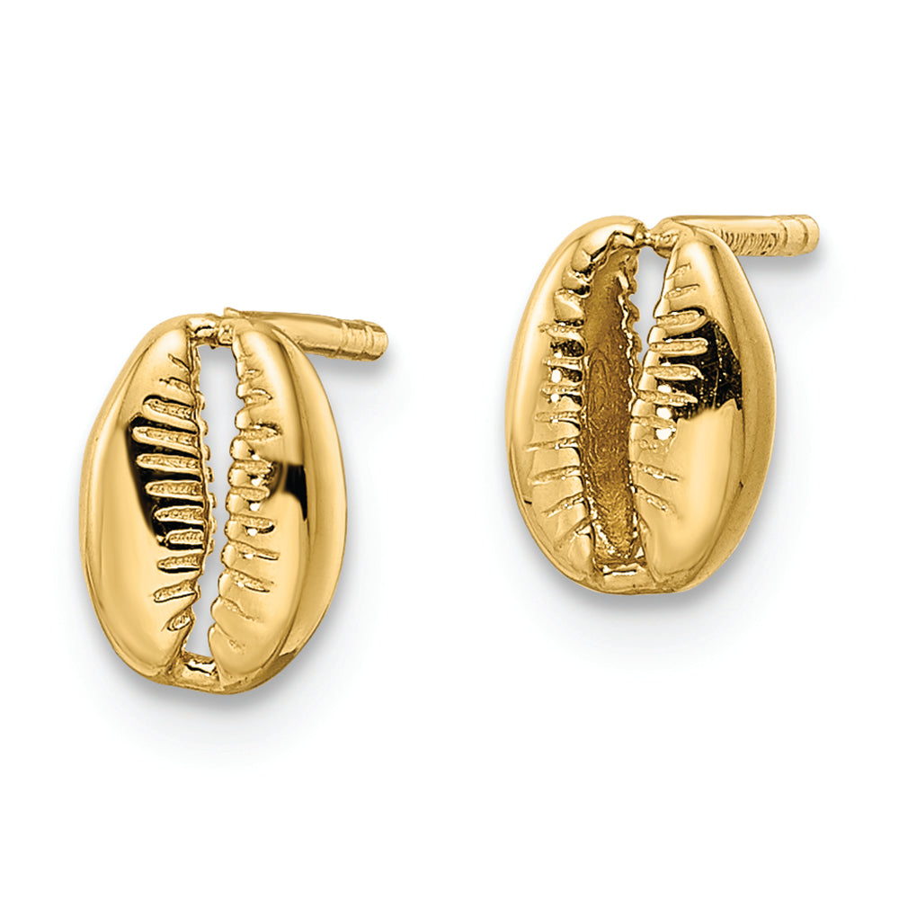 Aretes con Poste de Concha Pulida de 14k