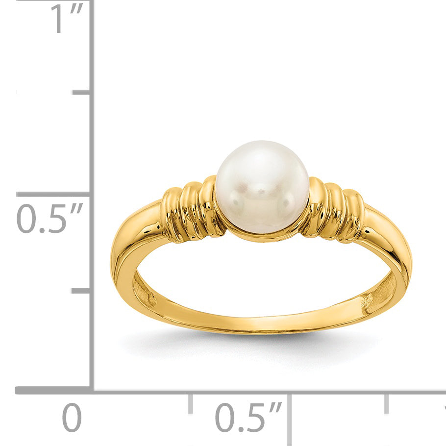 Anillo de Perla Cultivada en Agua Dulce con Botón Blanco de 5-6 mm, en Oro de 14k