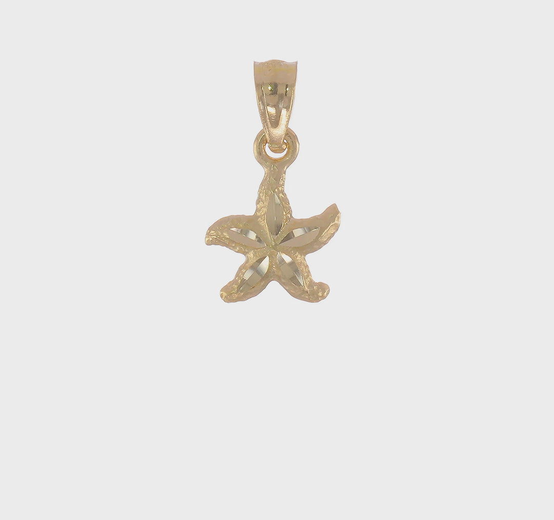 Dije de Estrella de Mar en Oro Amarillo de 14K