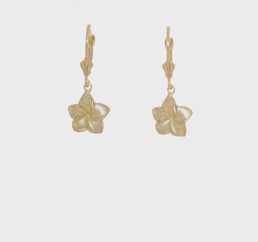 Aretes Colgantes de Plumeria Satinados y con Corte Tipo Diamante en Oro Amarillo de 14K